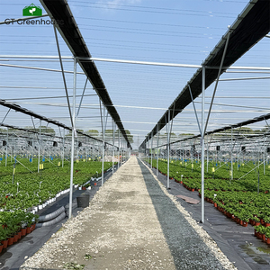 Serra ombreggiante con telaio in acciaio zincato a caldo GT <span class=keywords><strong>per</strong></span> coltivazioni agricole - Product Image 3
