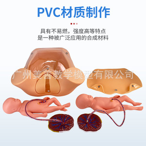 Modèle de formation complète aux compétences d'accouchement avancées, Modèle d'accouchement, Modèle fœtal, Formation complète aux compétences d'accouchement - Product Image 1