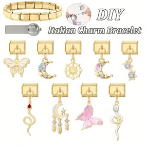 Cross-Border Hot Pink Series Gold Pendant DIY Stainless Steel <b>Bracelet</b> Italian Module Accessories for Fashion Charm <b>Bracelets</b> - Product Image 4