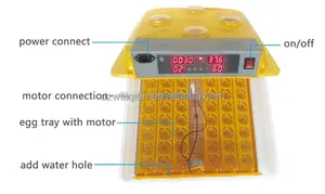 Incubadora automática com bandeja de rolamento, 2018 mais recente design de ovos de pato incubadora com ovos de boa qualidade