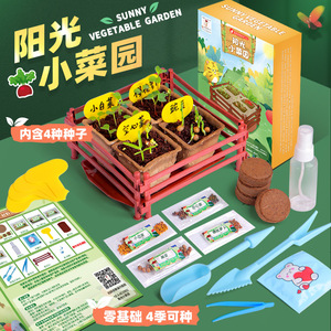 Kit de culture de légumes DIY Four Joys Sunny Vegetable Garden pour enfants, mini plantes en pot d'intérieur, ensemble éducatif pour la culture, âge 7-14 ans - Product Image 2