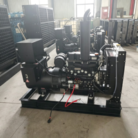 50kW Offener Dieselgenerator mit Wasserkühlsystem 230/400V 50/60Hz 1 Jahr Garantie