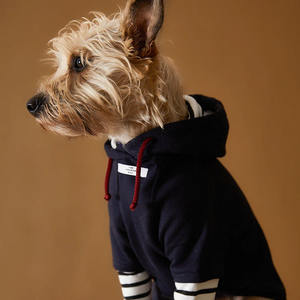 Camiseta a rayas de otoño para perros medianos y grandes, ropa sostenible acogedora, <span class=keywords><strong>Golden</strong></span> <span class=keywords><strong>Retriever</strong></span>, Labrador, mascotas de tamaño pequeño, verano e invierno - Product Image 4