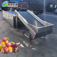 High-Speed Automatische Formaatmachine Voor Fruitgroenten Verbeterde Efficiëntie Sorteerapparatuur Voor Mango Appel Andere