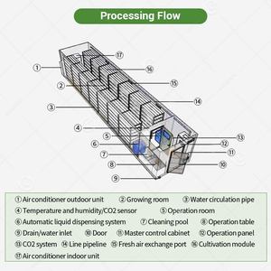Línea de Producción de Brotes, Bandeja de Germinación de Granos, Equipo para Cultivo de Hierba de Cebada, Máquina de Forraje Hidropónico - Product Image 6