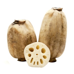 Cinese Radice di Loto Verdura 20 kg di Cartone di Vendita Caldo - Product Image 1