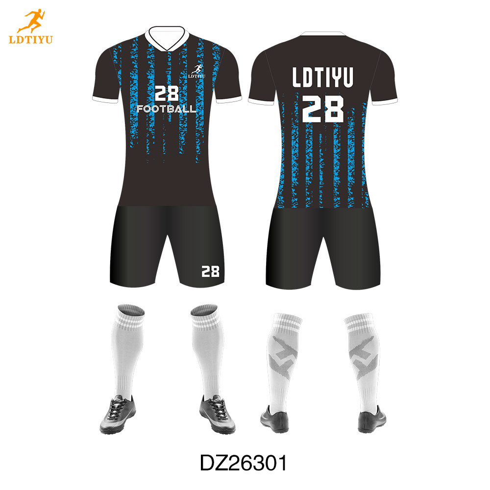 DZ26301
