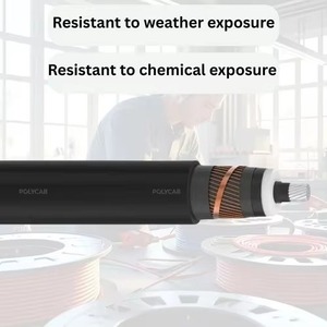 สายไฟฟ้าแรงสูง Polycab 3.8KV MV รุ่น MVSCALXLPEASNZS ฉนวน XLPE สำหรับงานอุตสาหกรรม ลดราคาพิเศษ พร้อมจำหน่ายในราคาที่ดีที่สุด - Product Image 3