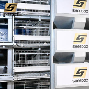 Nuovo Sistema di Gabbie Automatiche Tipo H per Galline Ovaiole con Acciaio Zincato ad Alta Capacità per Allevamento Avicolo a Batteria - Product Image 6