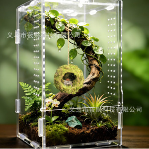 Nascondiglio per Ragni Saltatori, Casetta Artigianale in Muschio Naturale per Rettili, Decorazione per Terrario di Ragni - Product Image 3