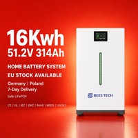 Système d'énergie solaire LiFePO4 16 kWh 51,2 V 320 Ah avec bande lumineuse LED et onduleur hybride 50 kW pour la sauvegarde domestique – Stock UE Allemagne Pologne