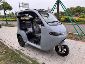 <span class=keywords><strong>Scooter</strong></span> électrique 3 <span class=keywords><strong>roues</strong></span> pour adultes, 2 places, certifié CEE, prix d'usine, carrosserie ouverte, batterie au lithium, voiture de ville - Product Image 3