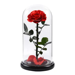 Flor de cristal de tallo largo roja y Real, a <span class=keywords><strong>precio</strong></span> de fábrica, Rosa preservada eterna de Principito en tubo de vidrio - Product Image 1