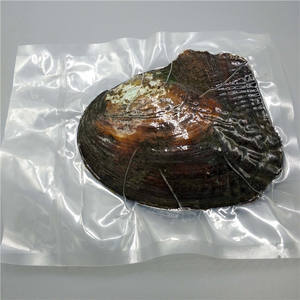 หอยมุกน้ำจืดธรรมชาติแบบเปิด มุกหลายสี ขายส่ง สำหรับงาน DIY - Product Image 4