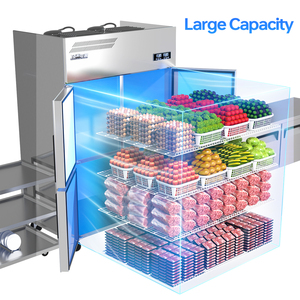 <span class=keywords><strong>Réfrigérateur</strong></span> vertical intelligent en acier inoxydable 201, 2 ou 4 portes intégrées, écologique pour cuisine, réglable - Product Image 4