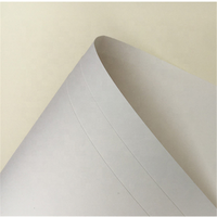 Papier offset brésilien, papier bond, 80 g/m², blanc, sans bois