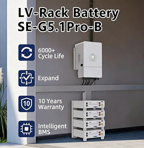 Deye SE-G5.1 Pro-B 5.12kwh แบตเตอรี่พลังงานแสงอาทิตย์แรงดันต่ำ51.2โวลต์ใช้ในบ้าน100ah-200ah Lifepo4ลิเธียมไอออนวางซ้อนกันได้คลังสินค้าในยุโรปสามารถ - Product Image 5