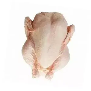 Viande de poulet Halal entière, fraîche et congelée Viande de volaille surgelée nutritive de qualité supérieure prête à exporter Poitrine de poulet