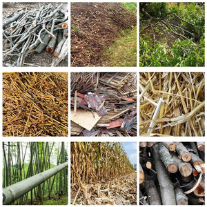 <span class=keywords><strong>Foresta</strong></span> macchina di taglio - Product Image 4