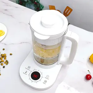 Multi Functional Home Appliance Kettle Teapot Led Lamp Electric Glass with Keep Warm Soup Desert Porridge Baby Water Coffee OEM