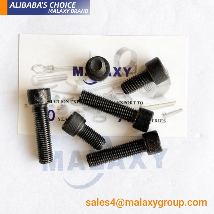 Viti 10-24 X 1-1/4 Phillips 50 Pezzi 50 Viti A Testa Cilindrica Phillips In Acciaio Inox 10-24 X 1-1/4 Pollici, Grado 18-8, Per Progetti Meccanici Viti Macchina 18-8