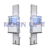 Trang Chủ Thang Máy Xe Lăn Thang Máy Với CE ISO MORN Nhà Tùy Chỉnh Dọc Nền Tảng Thang Máy Thủy Lực Dân Cư Thang Máy