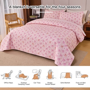 Fabricante <span class=keywords><strong>de</strong></span> Ropa <span class=keywords><strong>de</strong></span> Cama <span class=keywords><strong>de</strong></span> Marca Privada, Juego <span class=keywords><strong>de</strong></span> Edredón <span class=keywords><strong>de</strong></span> Microfibra Cepillada <span class=keywords><strong>de</strong></span> 80 g/m², Diseño Coquette, Impresión y Empaque Personalizados, Juego <span class=keywords><strong>de</strong></span> Edredón Acolchado - Product Image 3