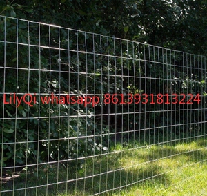 PVC-tráng mạ kẽm hàn dây lưới mạ kẽm hàn dây vải 2x4 in. THƯỚC ĐO 12.5 - Product Image 4