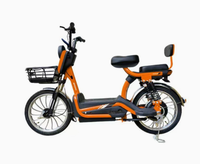Vélo Électrique Free Wind 48V avec Batterie Plomb-acide, Moteur Arrière, Autonomie 55-65km, E-Bike Transfrontalier, Fourniture Directe Usine 60km