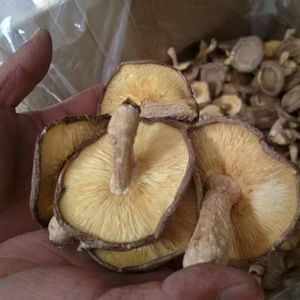 Champignons Shiitake séchés entiers Xianggu avec tiges pour la consommation alimentaire - Product Image 4