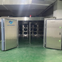 Industriële grootschalige 500-2000kg fruit- en groentedroger met hoge efficiëntie warmtepomp PLC voor het drogen van uien en mango's