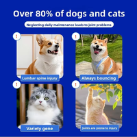 Capsules de L-Lysine pour chiens et chats, saveur saumon, absorption rapide, soutien immunitaire, respiratoire, allergies saisonnières, soin des yeux, complément alimentaire personnalisé OEM
