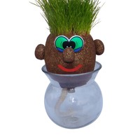 Kit DIY Hydroponique : Tête de Poupée pour Plantation de Graines d'Herbe à Chat, Petite Plante Verte en Pot