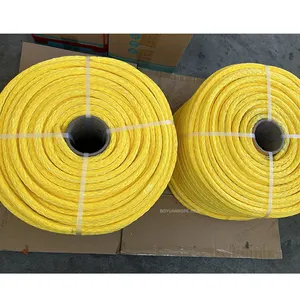 Safety 12 Strand Hollow Braid UHMWPE HMPE HMP Rope 4mm 6mm 12mm 15mm For Arborists