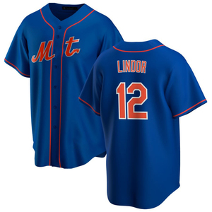 Maillots de baseball personnalisés 2025 pour hommes et femmes, style alternatif New York, brodés, uniformes sportifs pour jeunes - Product Image 3