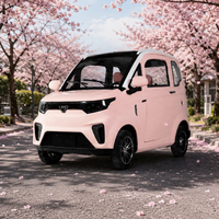 Certification CEE, scooter électrique à 4 roues, mini voiture électrique, nouveaux véhicules électriques à énergie renouvelable
