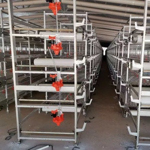 Meilleure vente pas cher prix 4 niveaux 96 oiseaux chaque ensemble H Type entièrement automatique batterie de poulets de chair poulet volaille système de <span class=keywords><strong>cage</strong></span> pour Oman - Product Image 6