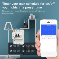 Compteur d'énergie intelligent monophasé WIFI 2P Kwh compteur de surveillance disjoncteur relais temporisé avec protection contre les fuites 63A par TUYA