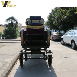 Véhicule de transport électrique à faible bruit et longue autonomie pour villas de villégiature, type calèche à chevaux - Product Image 4
