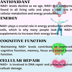 Cápsulas blandas de nicotinamida ribósido liposomal y betaína anhidra de marca privada de alta calidad, antioxidantes y antienvejecimiento celular. - Product Image 5