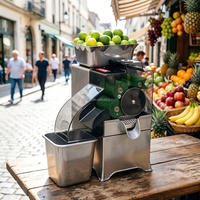 Presse-agrumes automatique en acier inoxydable pour usage commercial, extracteur de jus haute performance pour les bars à jus et les cafés