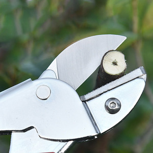Cao cấp vườn kéo bỏ qua cắt tỉa kéo dụng cụ làm vườn pruners cho hoa, bụi cây, hoa hồng và cây ăn quả - Product Image 6