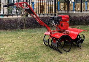 Operación fácil Tracción en las cuatro ruedas Motor de gasolina Mini timón - Product Image 5