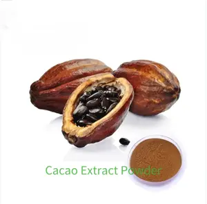 100% naturale naturale estratto di semi di cacao in polvere/cacao alcalinizzato in polvere con il prezzo poco costoso