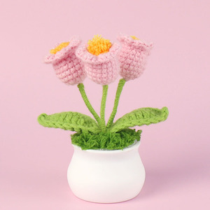 Pot en crochet fait main avec trois fleurs <span class=keywords><strong>de</strong></span> muguet miniatures en tricot pour petite amie, cadeau <span class=keywords><strong>de</strong></span> Saint-Valentin, cadeau <span class=keywords><strong>de</strong></span> remise <span class=keywords><strong>de</strong></span> diplôme - Product Image 5