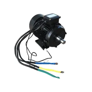 BLDC Motor 48V 2.5KW 2800RPM Brushless DC Motor For DC Hydraulic Pump