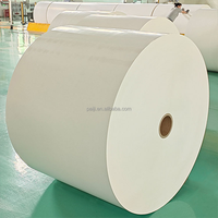 Rouleau de papier enduit de PE en pâte de bois vierge, qualité alimentaire, imperméable, pour gobelets en papier jetables