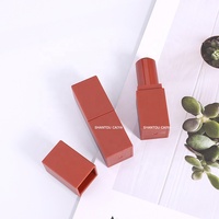 Stock DIY probe rohre mini nette platz kunststoff bunte matte braun rot lippenstift rohr leeren lippenstift verpackung niedrigen moq