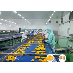 Projet clé en main ligne de Production de pêche jaune en conserve ligne de traitement de fruits Machine de mise en conserve