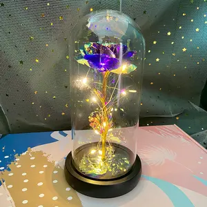 발렌타인 데이 선물 인공 장식 꽃 갤럭시 로즈 Led 라이트 24K 황금 호일 장미 유리 돔